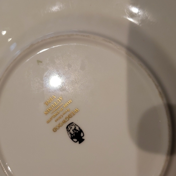 VINTAGE Set of 4 Wedgwood Autumn Vine Cup (2.5" x 3") and Saucer (6"diam) Tea - Picture 6 of 8